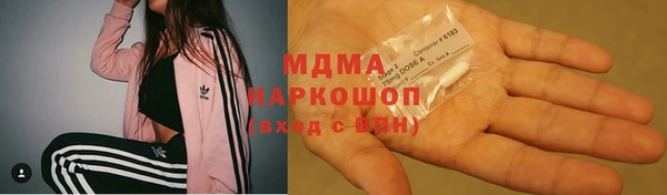 МДПВ Бородино