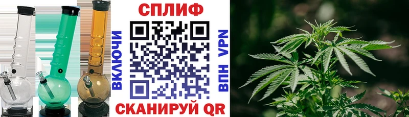 Шишки марихуана планчик Полтавская